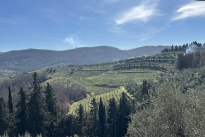 A view from the Montefioralle Ring Trail