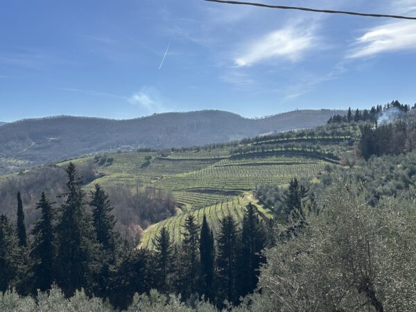 A view from the Montefioralle Ring Trail