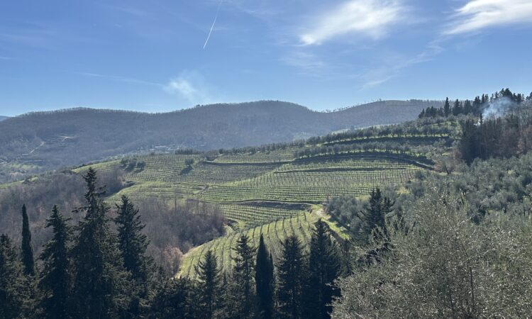 A view from the Montefioralle Ring Trail