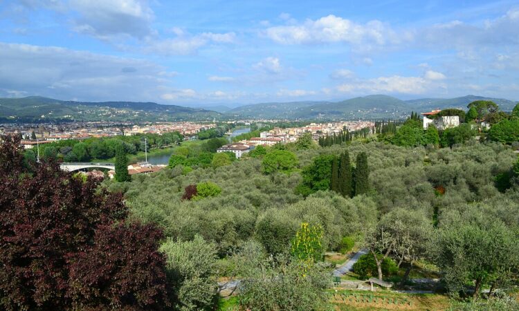 Seasonal opening for Florence’s Iris Garden, home of the city’s emblem 