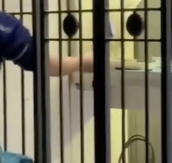 Shop window smashed in Florence centre