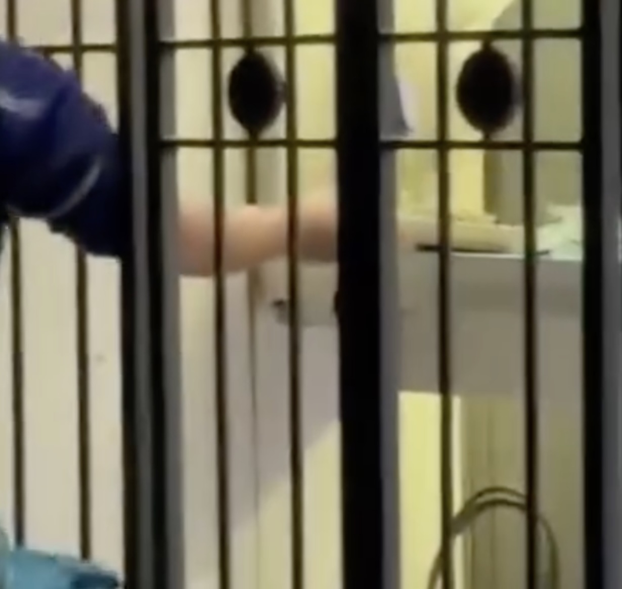 Floransa'nın merkezinde vitrin kırıldı, hırsızlık uluslararası turistler tarafından filme alındı