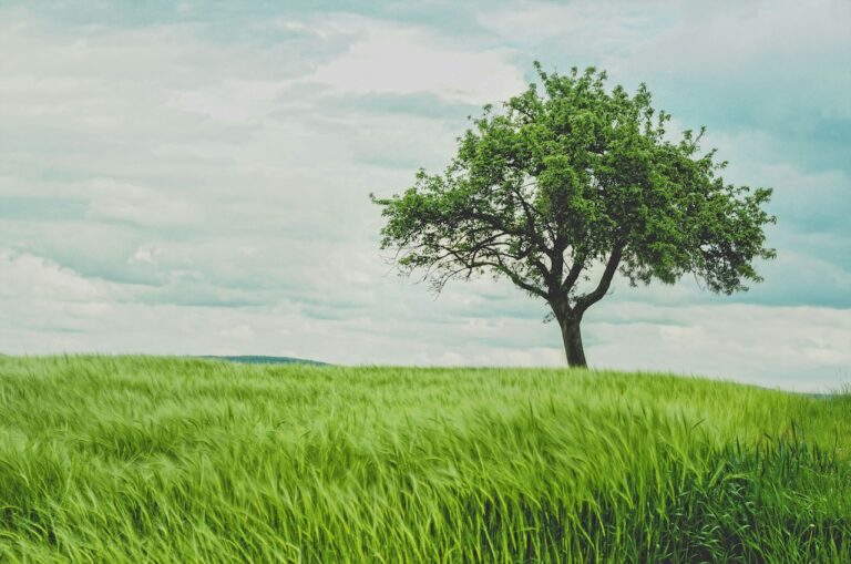 Many Europeans care about climate change, even if they don’t show it in the same way