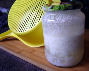 University of Florence study explores how kefir yeasts may support gut health