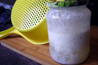 University of Florence study explores how kefir yeasts may support gut health