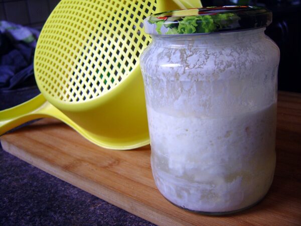 University of Florence study explores how kefir yeasts may support gut health