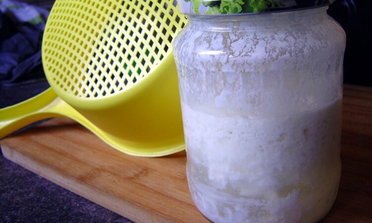 University of Florence study explores how kefir yeasts may support gut health