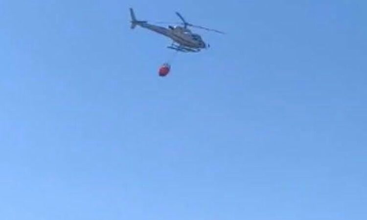 Wildfire Breaks Out on Castiglione della Pescaia-Punta Ala Road